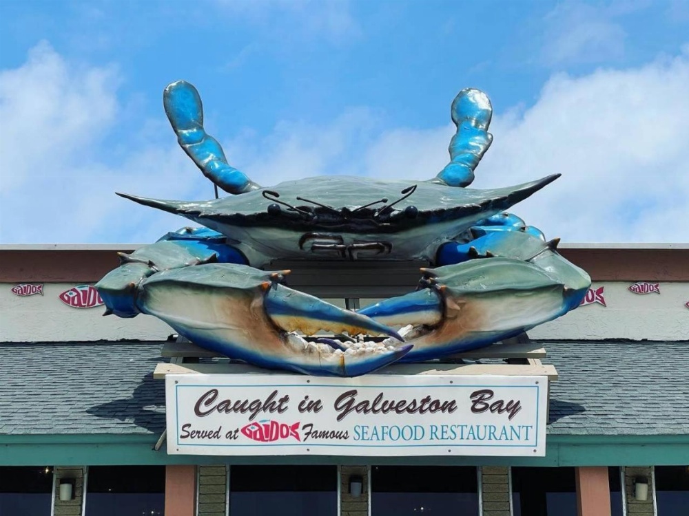 Gaido's Seaside Inn Main image